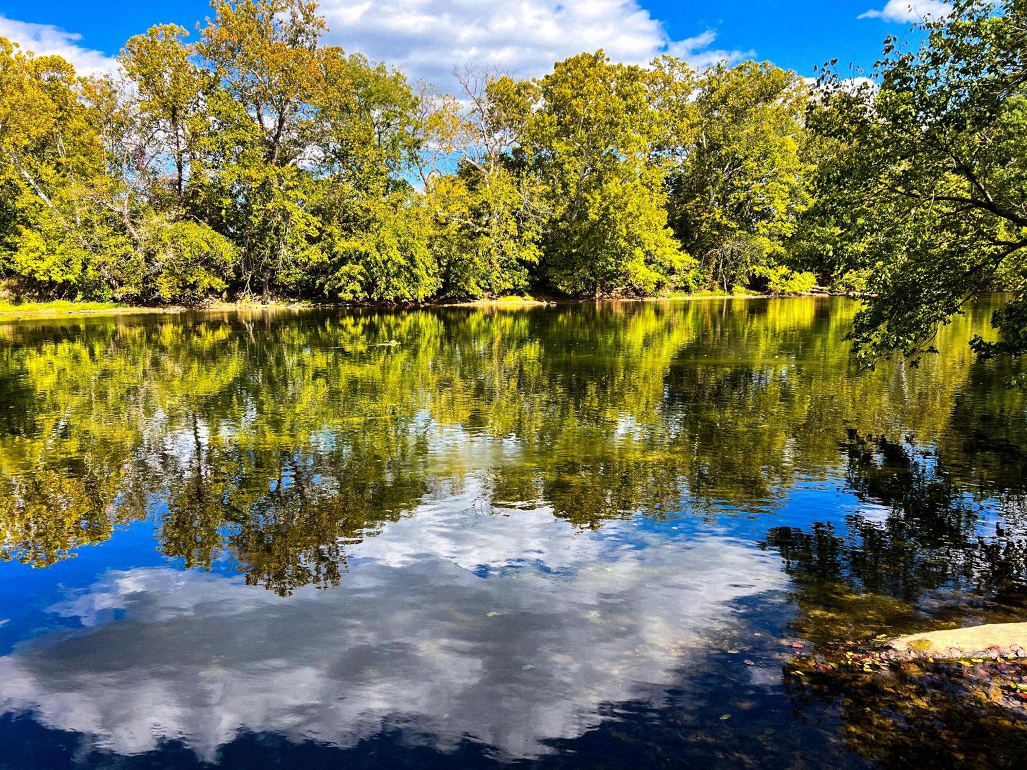 Luray Rv Resort On Shenandoah River ภายนอก รูปภาพ