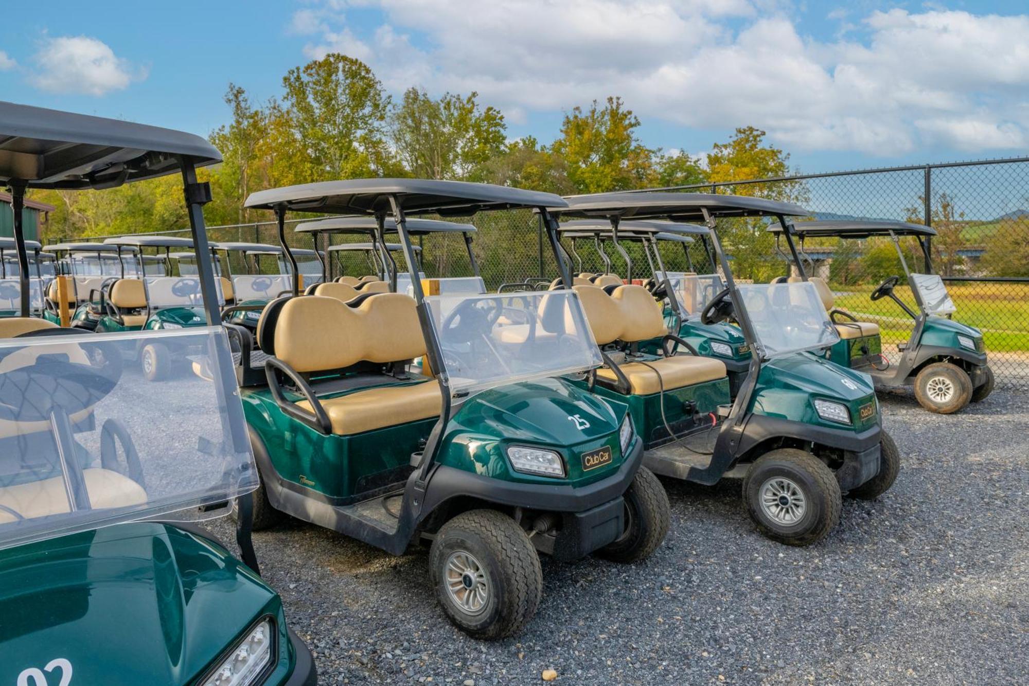 Luray Rv Resort On Shenandoah River ภายนอก รูปภาพ